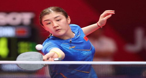 还曾进入欧 还曾进入欧